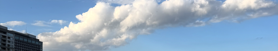 휴가때 찍은 사진